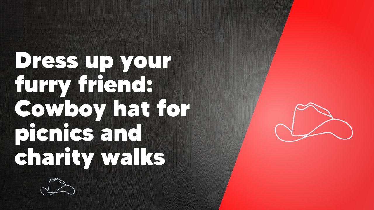 Dress up your furry friend: Cowboy hat for picnics and charity walks - Neon Cowboys