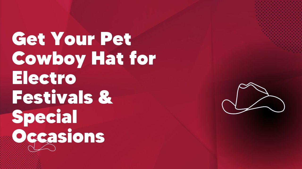Get Your Pet Cowboy Hat for Electro Festivals & Special Occasions - Neon Cowboys