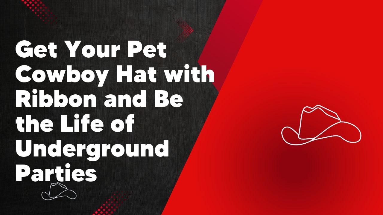 Get Your Pet Cowboy Hat with Ribbon and Be the Life of Underground Parties - Neon Cowboys