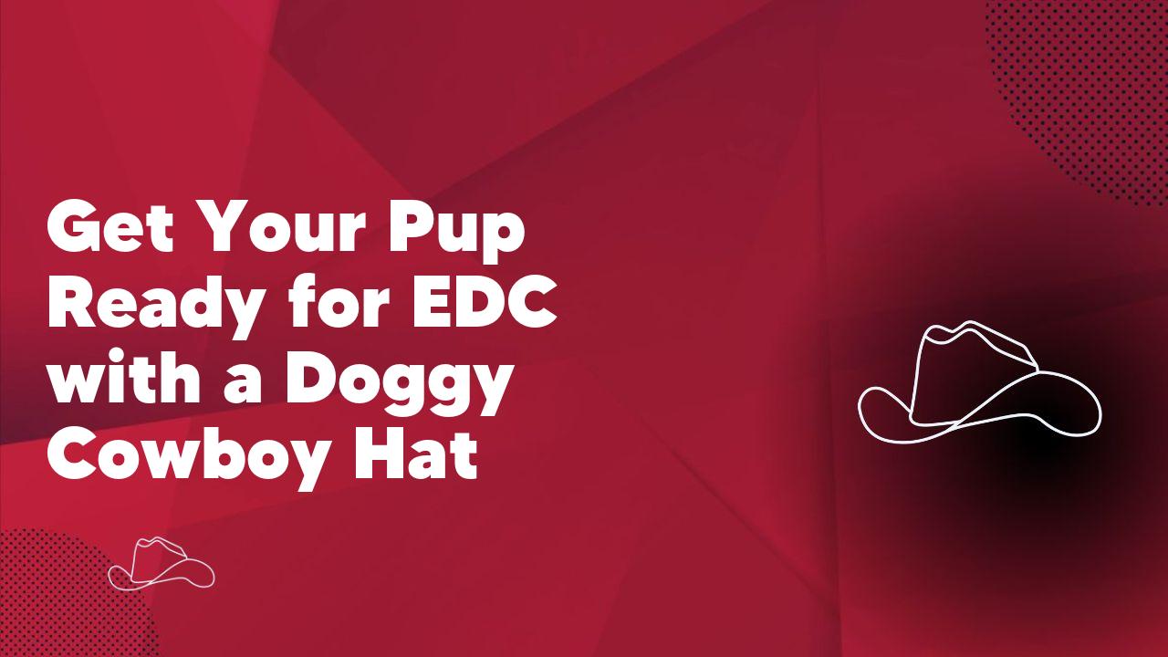 Get Your Pup Ready for EDC with a Doggy Cowboy Hat - Neon Cowboys