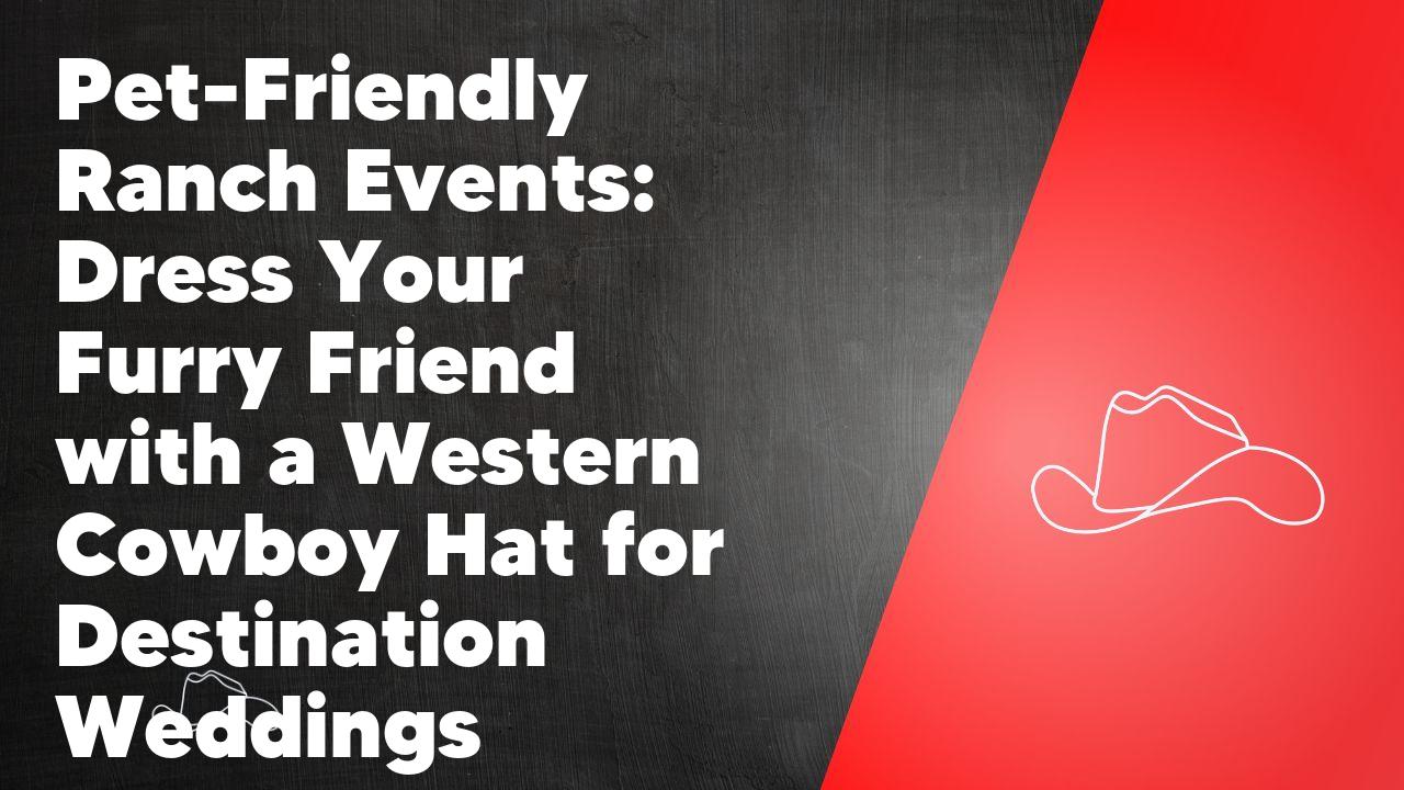 Pet-Friendly Ranch Events: Dress Your Furry Friend with a Western Cowboy Hat for Destination Weddings - Neon Cowboys