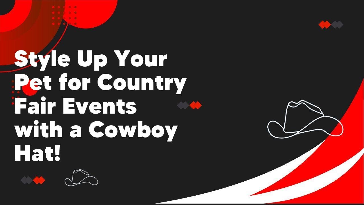 Style Up Your Pet for Country Fair Events with a Cowboy Hat! - Neon Cowboys