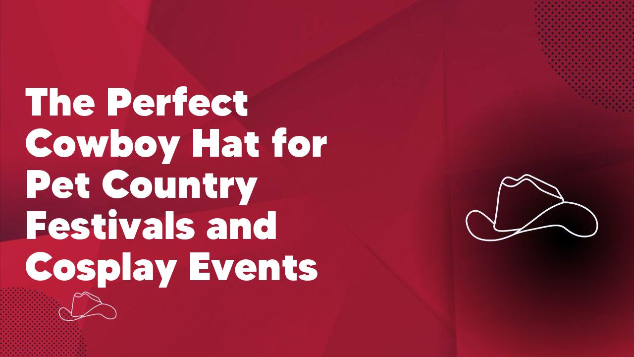 The Perfect Cowboy Hat for Pet Country Festivals and Cosplay Events - Neon Cowboys
