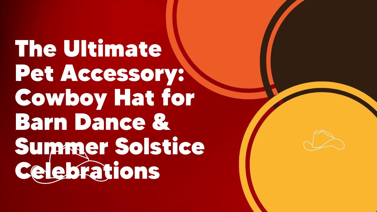 The Ultimate Pet Accessory: Cowboy Hat for Barn Dance & Summer Solstice Celebrations - Neon Cowboys
