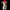 Small white terrier mix wearing pink LED cowboy hat - Light-up pet accessory on black background showing vibrant neon color
