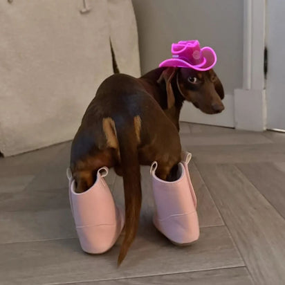 Mini Neon Cowboys Dog Hat - Neon Cowboys - Dog Hat - MINIDOGHATPINK