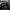 10 Pack: Neon Cowboys Hat Bundle - Neon Cowboys - Hats -