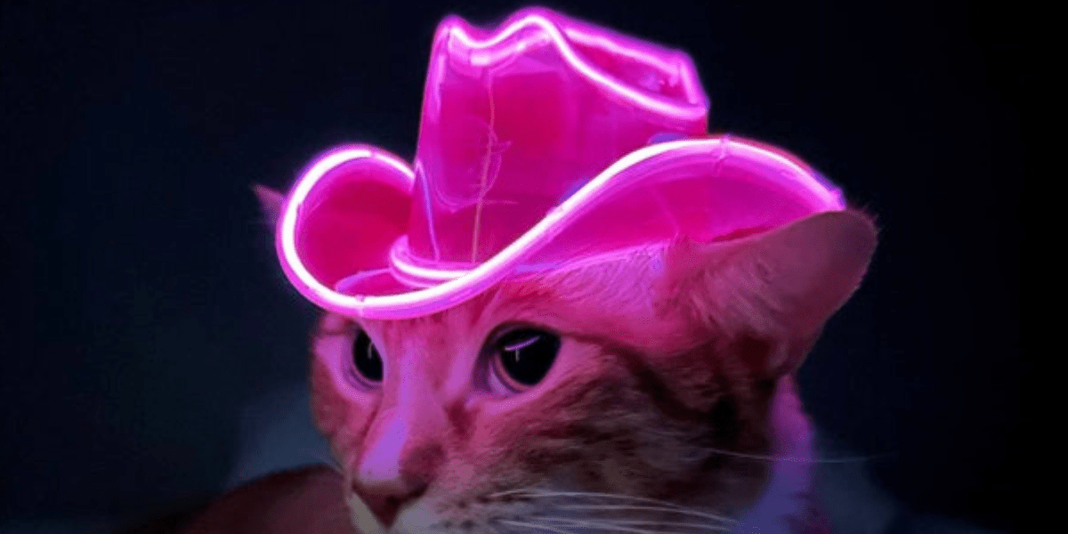 Light-Up-Pet-Accessories-Neon-Cowboys-LED-Dog-Cat-Festival-Costume-Gear