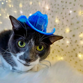 Black and White Cat with Blue Cowboy Hat - Christmas Gift for Cat Lovers - Festive Light Up Pet Accessory - Holiday Costume for Feline Furry Friends