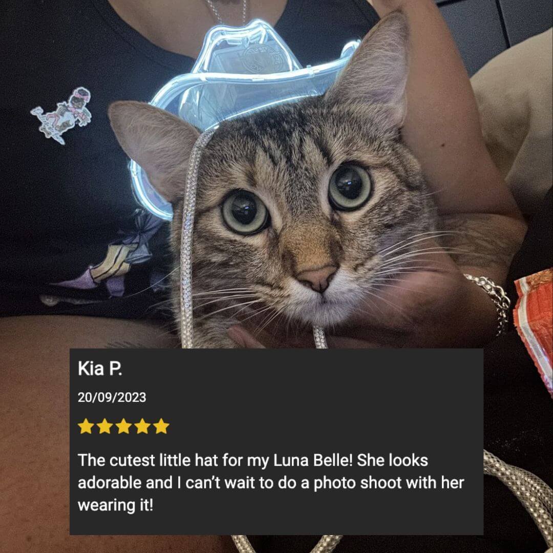 Cat Wearing Mini Cowboy Hat - Pet Costume for Birthday Photoshoots - Light Up Western Hat for Cat Christmas Pictures - Adorable Accessory for Cat Parents