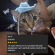 Cat Wearing Mini Cowboy Hat - Pet Costume for Birthday Photoshoots - Light Up Western Hat for Cat Christmas Pictures - Adorable Accessory for Cat Parents