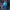 Cowprint Puffer Jacket - Neon Cowboys - couture -