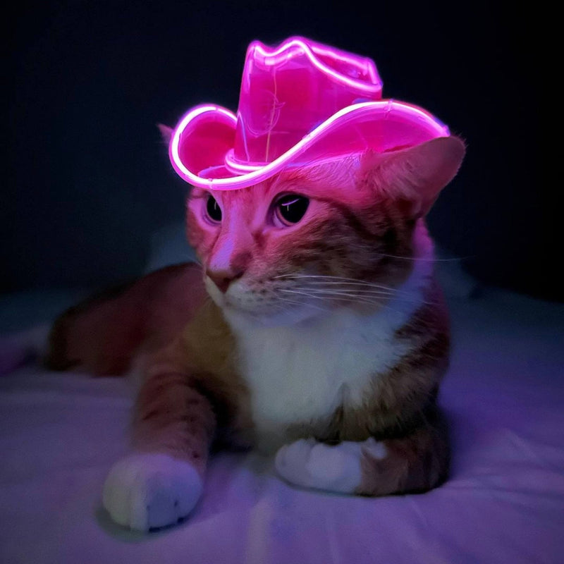 Orange tabby cat wearing a pink glowing LED light up mini cowboy hat on a bed, a western pet costume and Christmas gift for cat parents and cat lovers, a photography prop for pet holiday cards, Neon Cowboys