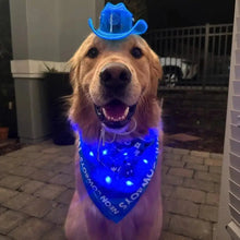 Light Up Dog Cowboy Hat and LED Bandana Set - Large Golden Retriever Wearing Blue Glowing Pet Accessories - Pet Halloween Costume Fashion Gift