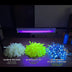 LED light-up pom poms compared to glow-in-the-dark and blacklight UV pom poms — Neon Cowboys LED poms glow anywhere with no blacklight needed