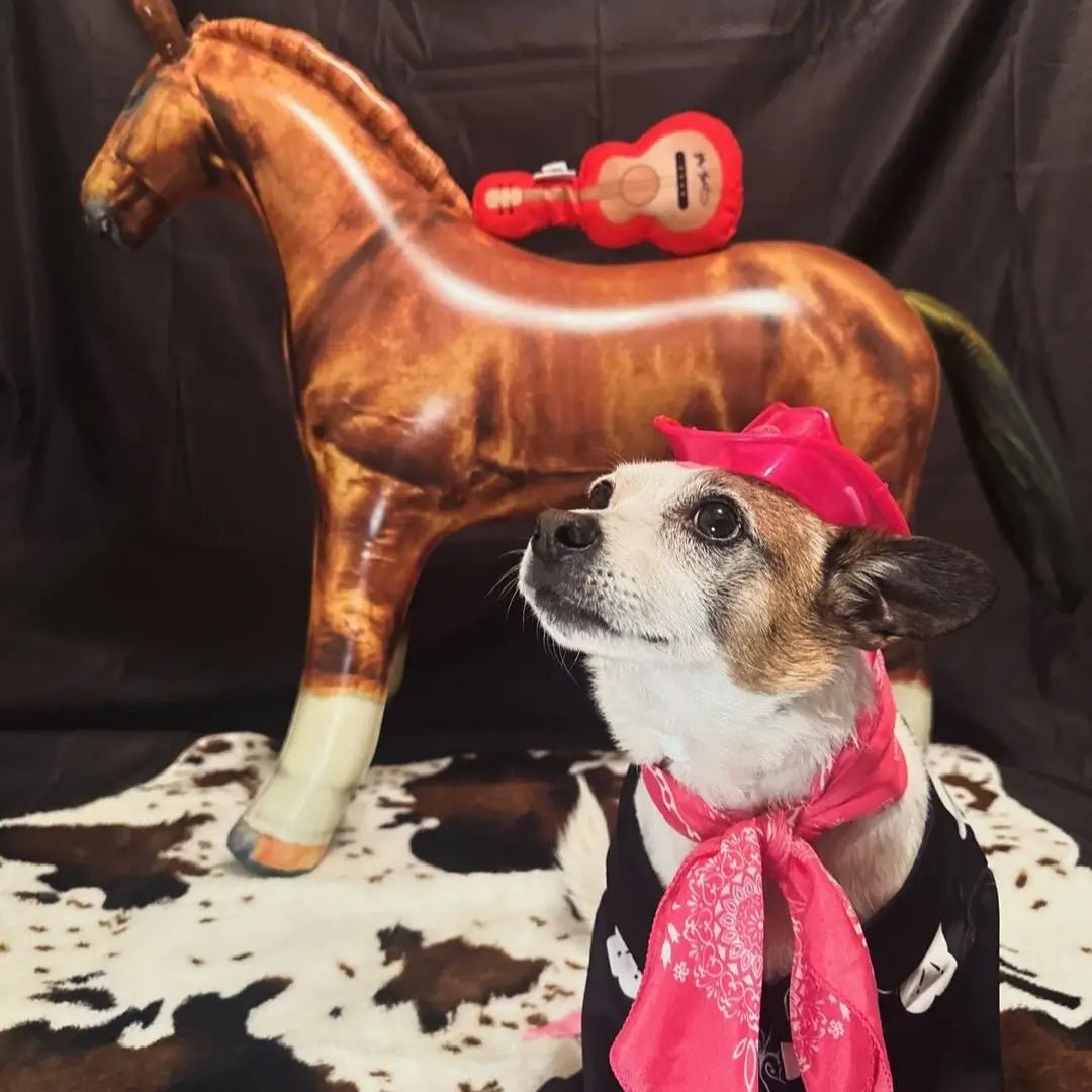 Mini Neon Cowboys® Hat for Dogs - Neon Cowboys - Pet Products - 