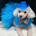 White Poodle wearing blue LED cowboy hat with blue tutu - Coordinated pet costume with glowing accessories for events