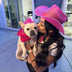 Woman with French Bulldog wearing matching pink cowboy hats - Owner and pet coordination with glowing LED accessories