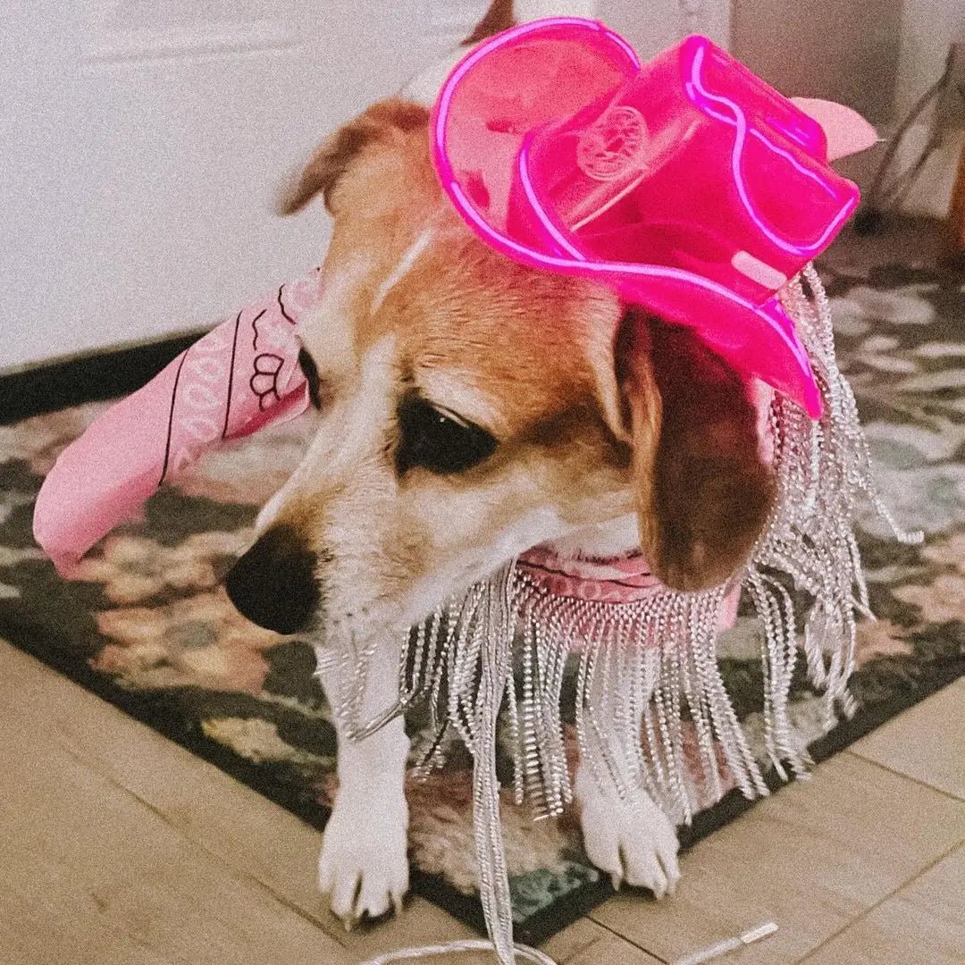 Mini Neon Cowboys® Hat for Dogs - Neon Cowboys - Pet Products - 