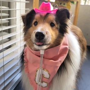 Mini Neon Cowboys® Hat for Dogs - Neon Cowboys - Pet Products - 