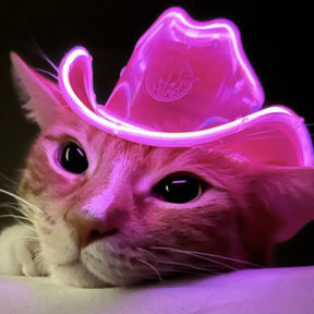 Beautiful Pink LED Neon Cowboy Cat Hat - Halloween Pet Costume for Cat Lovers - Glowing Western Hat for Feline Friends - Festive Gift for Christmas