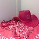 Pink LED cowboy hat with matching illuminated bandana displayed flat - Complete pink Neon Cowboy Bundle set showing all accessories together
