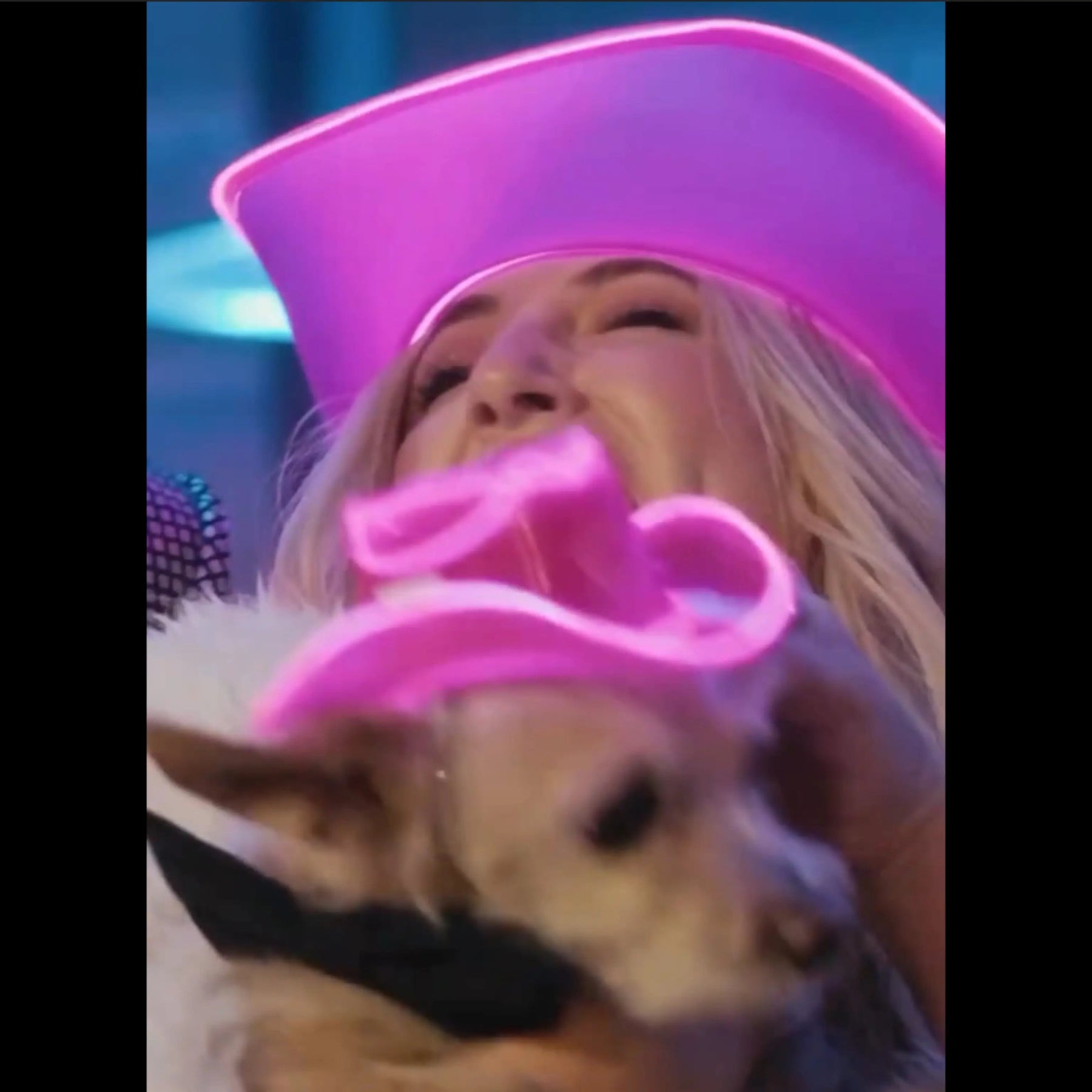 PAWdner Pet Hat Pack - Neon Cowboys - Pet Products - 