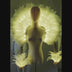 Glowing LED feather aura back piece with matching light-up feather arm cuffs, illuminated warm white in a wing-like halo — stage performance wings for burlesque, circus and cirque artists, showgirls, drag, dance and event entertainers.