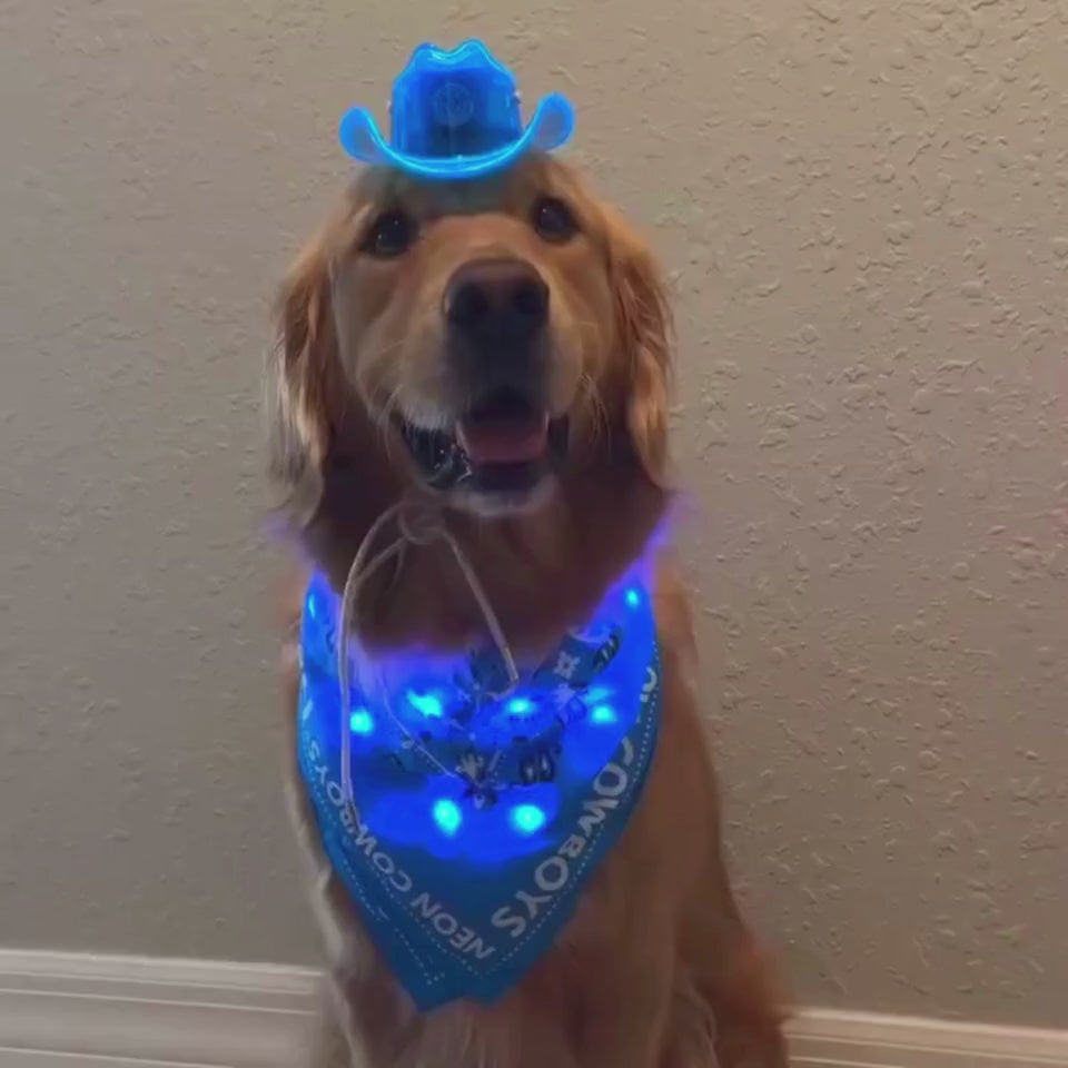 Golden Retriever Wearing Blue LED Cowboy Hat and Bandana - Video of Light Up Pet Accessories - Illuminated Dog Fashion Halloween Costume