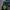 Neon Cowboy Bundle