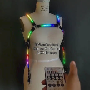 LED Harness