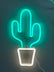 SAMPLE SALE - Cactus LED sign - FINAL SALE - Neon Cowboys - 