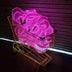 10 Pack: Neon Cowboys Hat Bundle - Neon Cowboys - Hats -