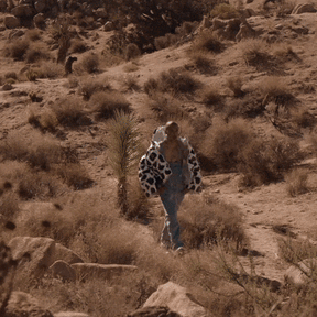 Chaqueta acolchada con estampado de vaca