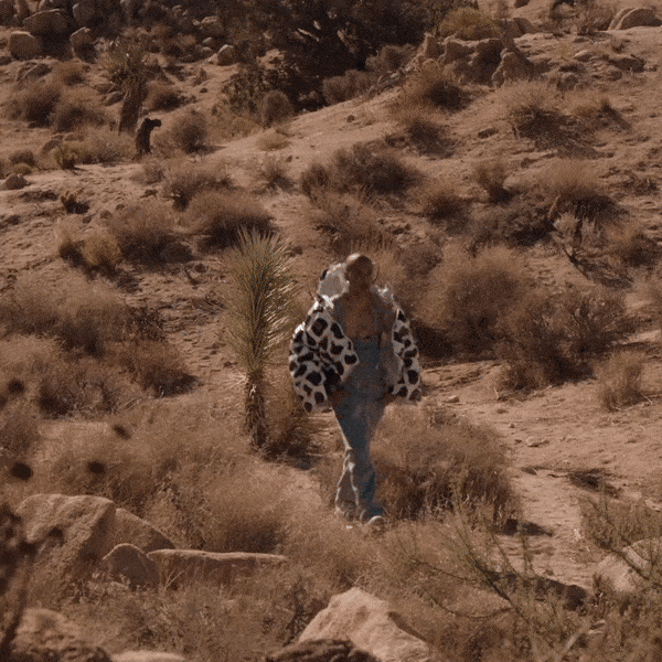 Chaqueta acolchada con estampado de vaca